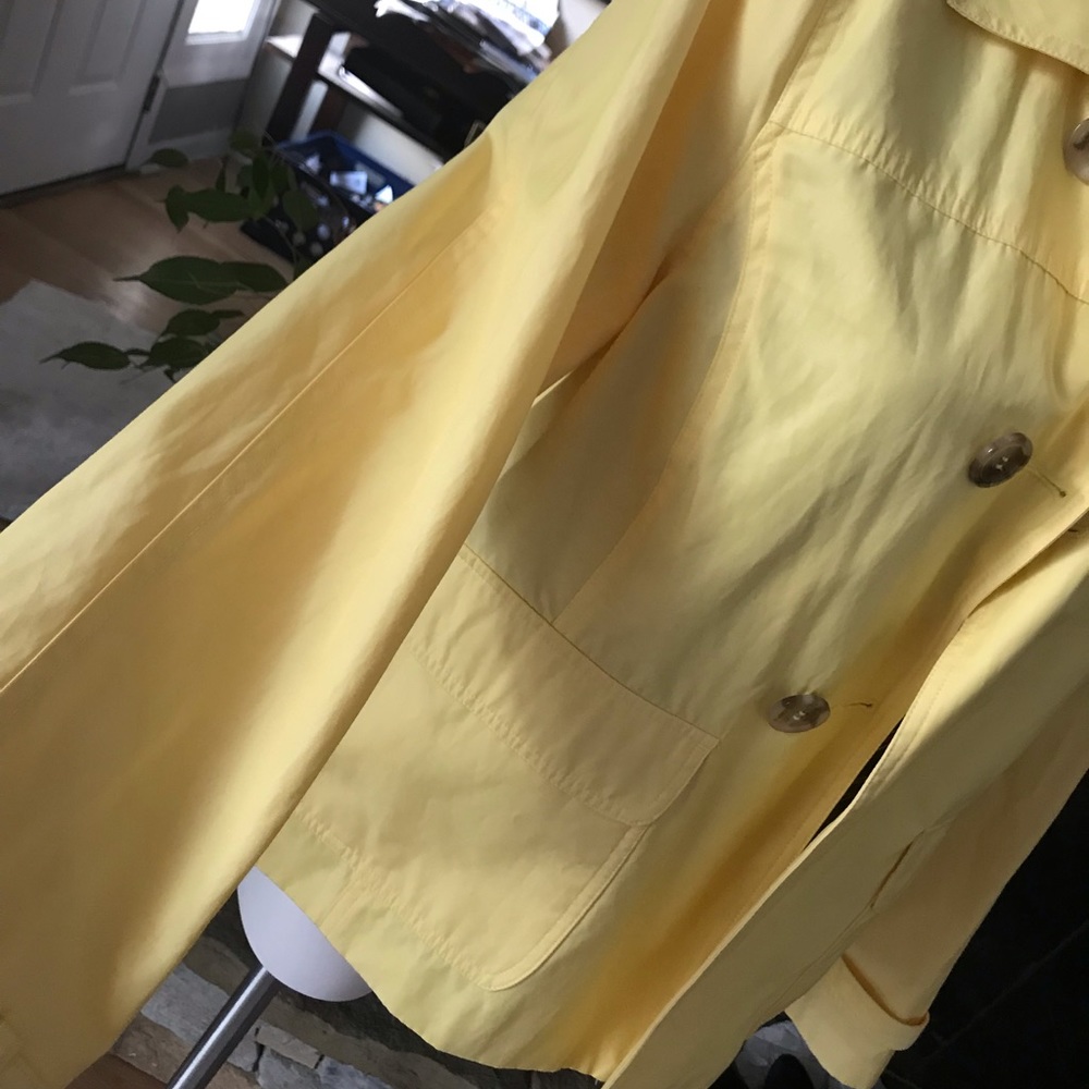 Yellow jacket - Picture 4 of 8